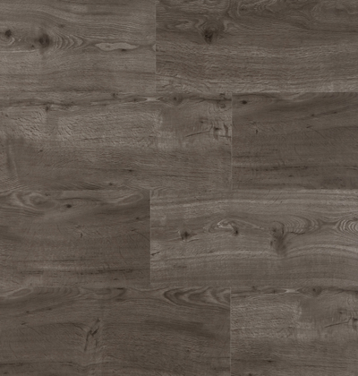 NW 5207 – OLIVE ELM