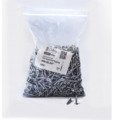SS304 Self Taping Screw